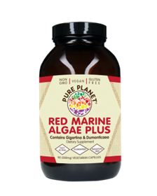 Pure Planet Red Marine Algae, 90 caps