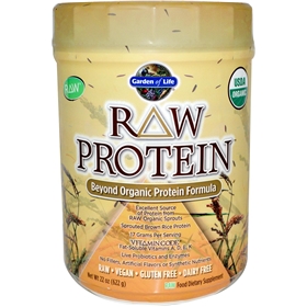 Garden of Life Raw Protein, Beyond Organic Protein, Original, 22 oz (622 g)