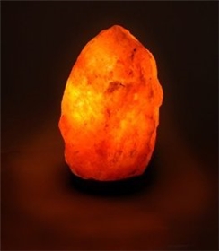 Evolution Salt Lamp